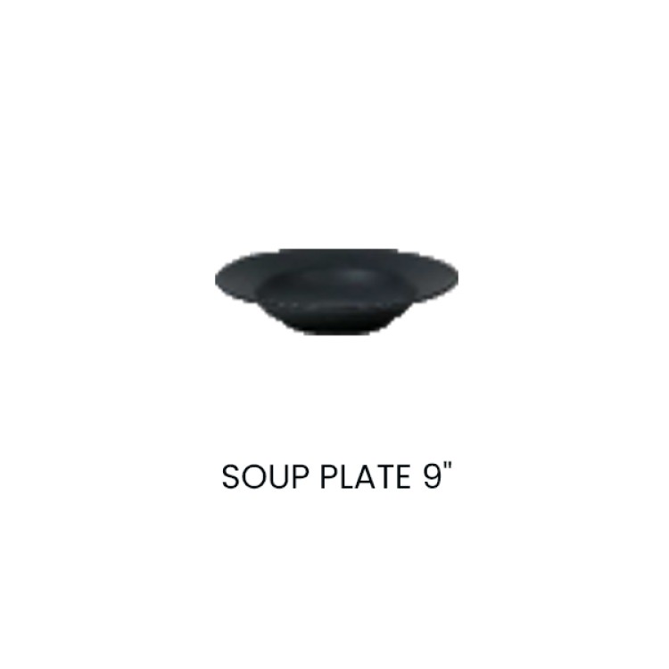 Soup Plate 9