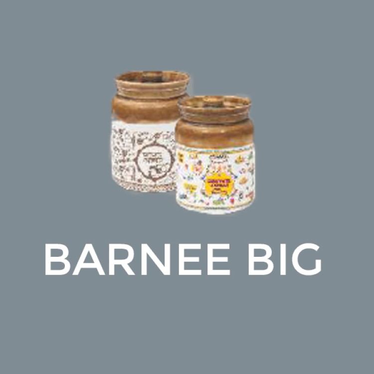 Barnee Big