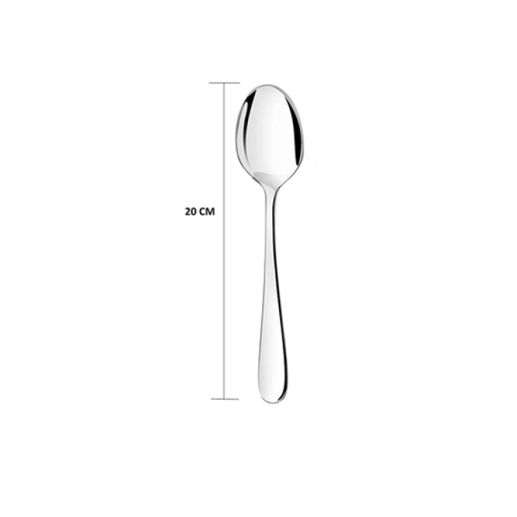Colin Table Spoon