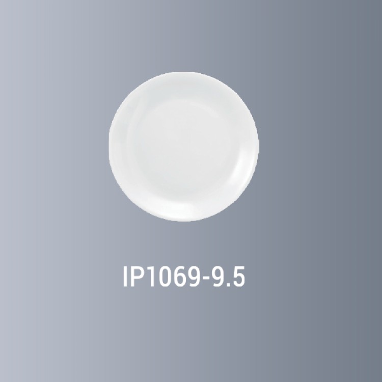 Medium Plate 9.5"
