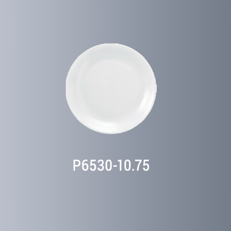 Dinner Plate 10.75"